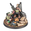 ASTRA MILITARUM: PROVISIONALLY PREPARED